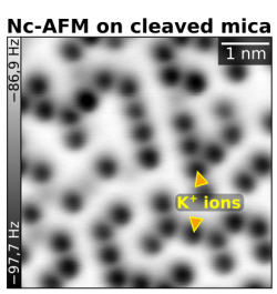 Atomic resolution on UHV-cleaved mica