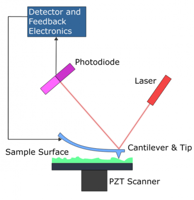 Atomic Force Microscopy concept: a laser is reflected off the back of a cantilever on a split photo diode