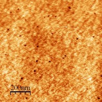 Pits (black dots) induced by slow, highly charged ions in an AFM image