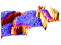 STM image of anatase (101) after oxygen exposure